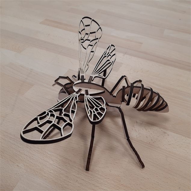 Insecte réalisé à l'aide de la découpeuse laser - Altec