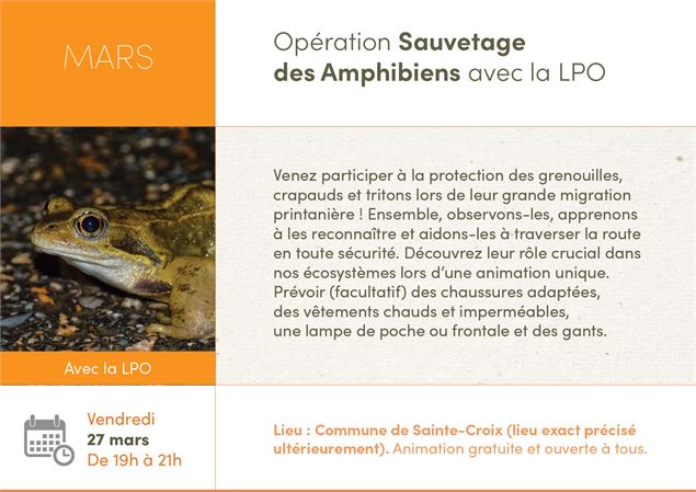 Sauvetage des amphibiens avec la LPO