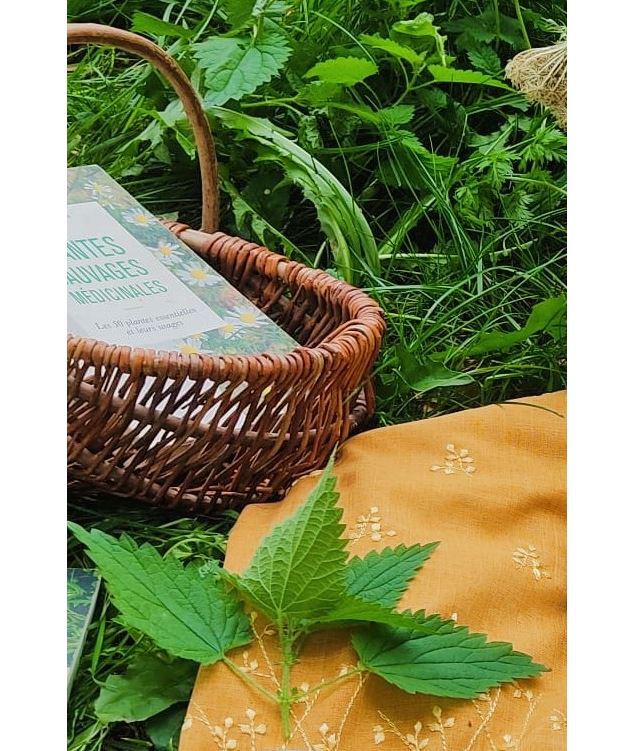 Balade cueillette des plantes sauvages en Savoie - Muriel Lallée