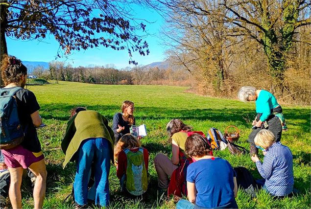 Balade cueillette de plantes sauvages en Savoie - Muriel Lallée