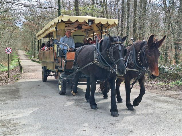 Balade en calèche - ONF
