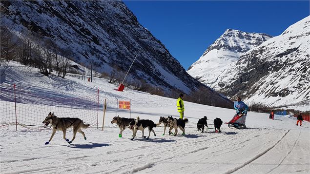 Attelage au départ des pistes de Bonneval sur Arc - C.Royer - OTHMV