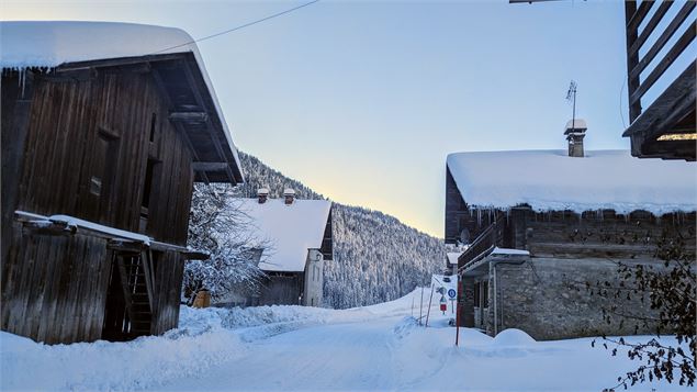 Visite guidée : Le Plan aux lanternes_La Giettaz - Perrine Bouchex