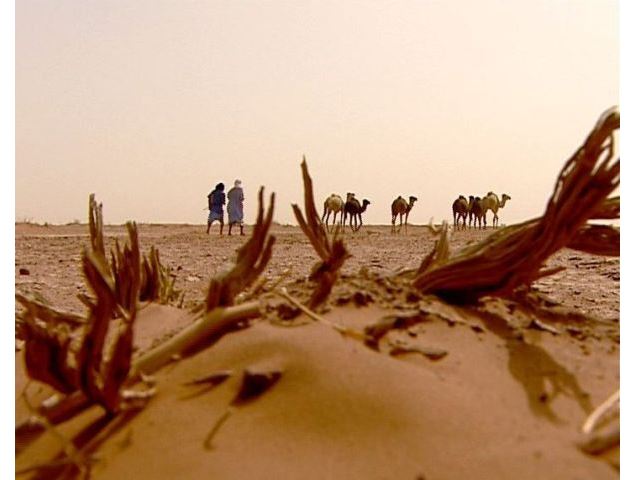 Projection : Raclette Kirghize et Sécheresse du coeur_Crest-Voland - Film Festival Lenessia