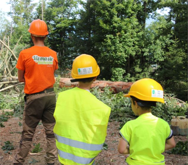 Vis ma vie de Bûcheron_Le Châtelard - @pnrmb