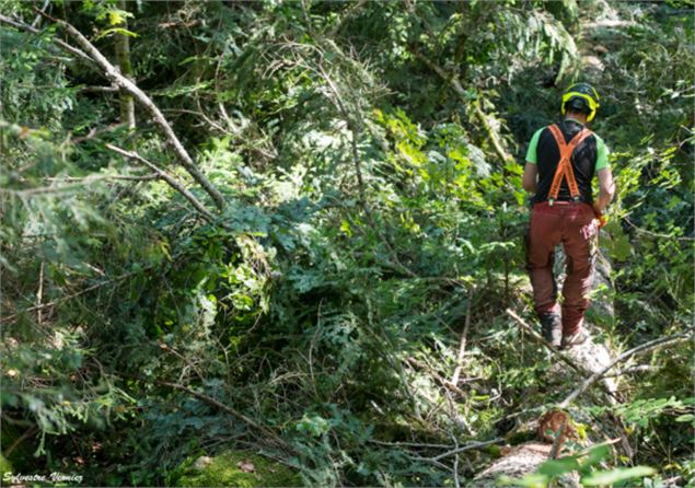 Vis ma vie de Bûcheron_Le Châtelard - @pnrmb