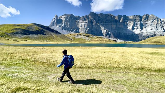 Vue sur la chaine des Fiz - Joseph Rouget