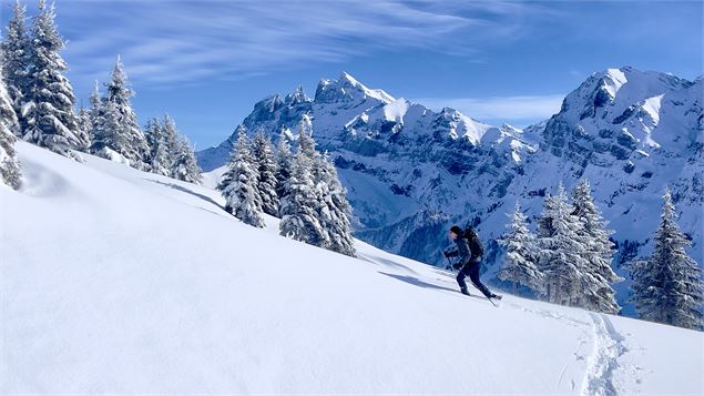 Balade hivernale - Joseph Rouget