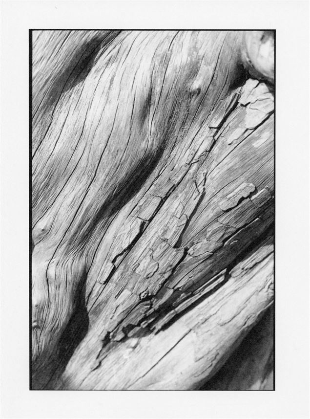 Exposition - 18èmes rencontres photographiques - Frédéric Chiola