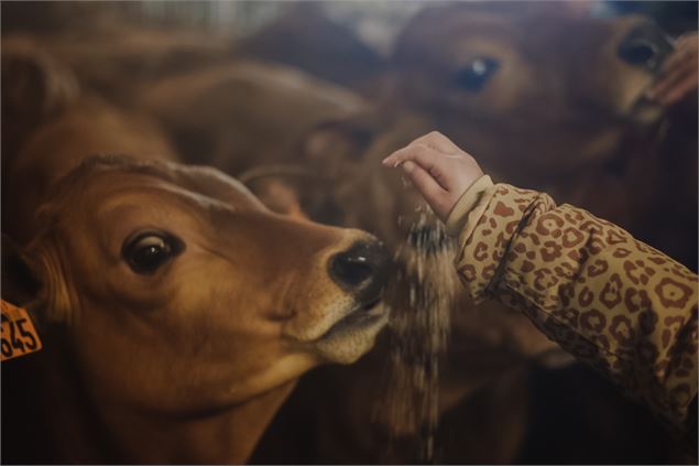Visite de la ferme du GAEC Alpin - Elliot Gieu