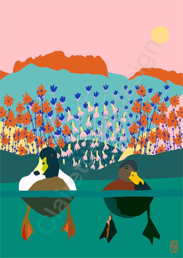 Expo Claire Turner - Claire Turner