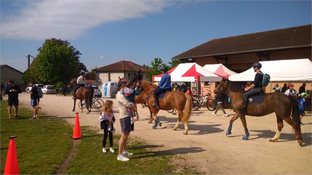 Fête du vélo - F. Rouxel