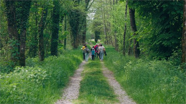 Carnet d'art en Balade - lindsay leboeuf