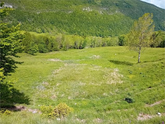 Zones humides du col des Prés - Département de la Savoie
