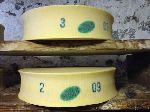 Beaufort d'alpage, prince des gruyères - DD-FACIM