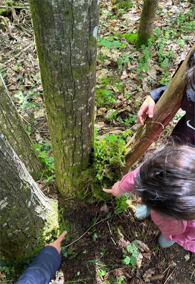 Observation de la nature - LPO AuRA