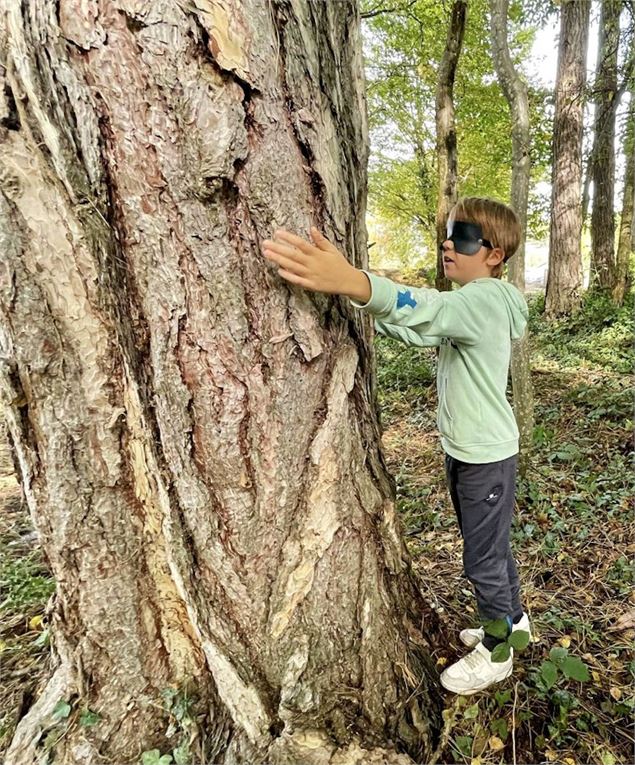 Ecoute des arbres - France Nature Environnement Savoie