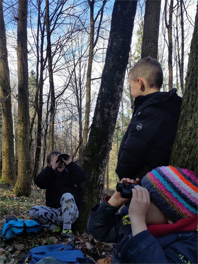 Observation de la nature - France Nature Environnement Savoie