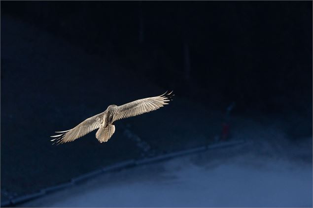 Projection photos : Lumières Sauvages & explorations photographiques_Pralognan-la-Vanoise