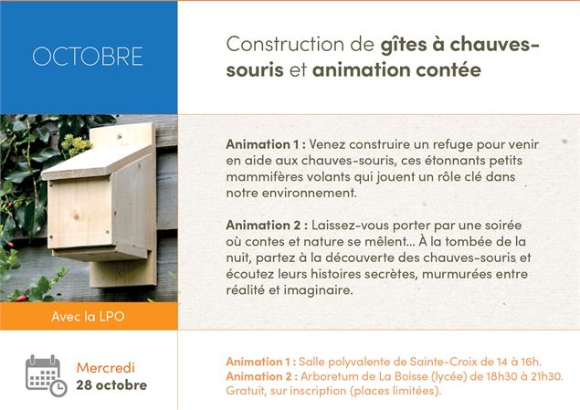 SPECTACLE - Animation contée sur les chauves-souris - 3cm