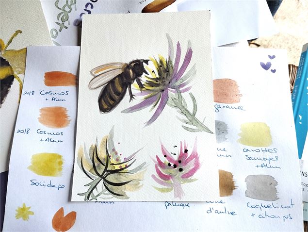 carnets encres végétales - Marielle Lazzaroni