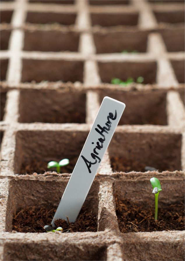 Happy Hour - Des étiquettes pour vos plantes_Bourg-en-Bresse