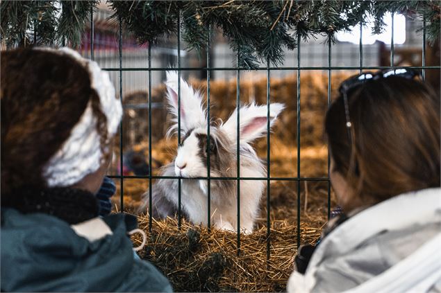 Animaux à la Ferme de l'Adroit à Val d'Isère - Yann Allègre