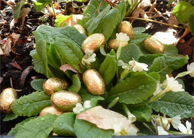 Chasse aux oeufs - csardin