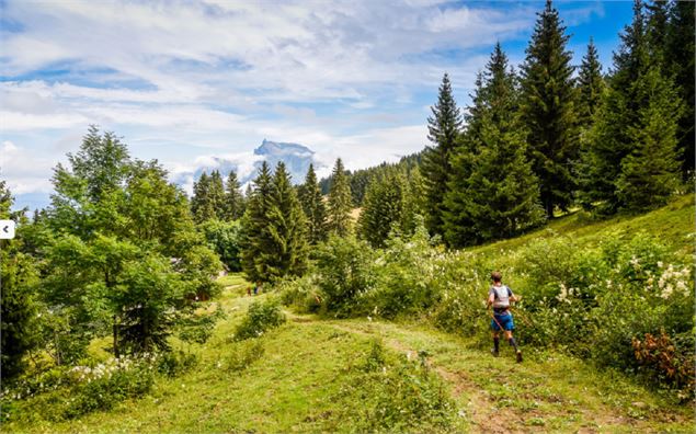 Megève_Nature_Trail - dr