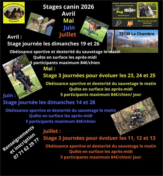 Stage canin : éducation, obéissance sportive et recherche_La Chambre - Freepik