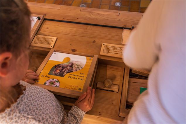 Jeux ludiques au musée patrimonial de Thônes - Office de Tourisme Thônes Coeur des Vallées