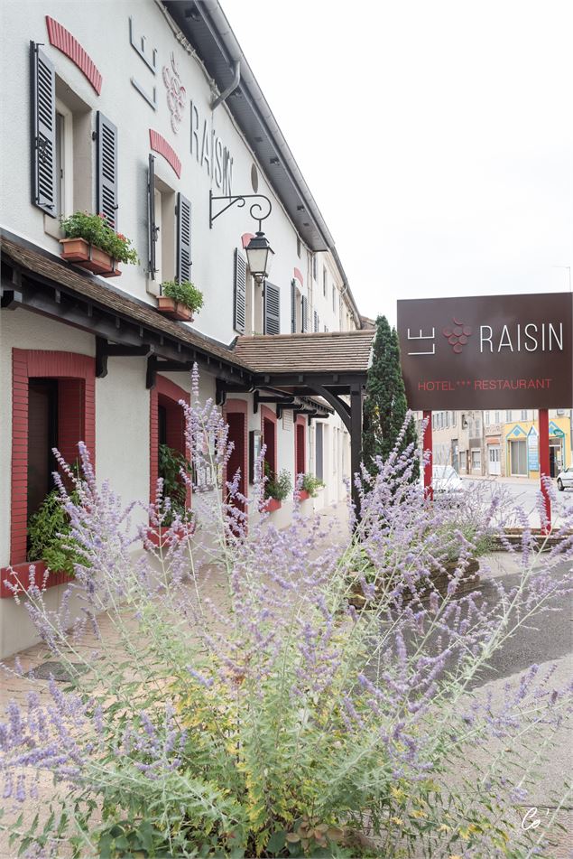 Restaurant Le Raisin_Pont-de-Vaux - Logis Restaurant Le Raisin