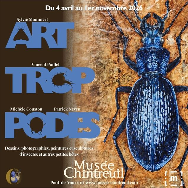 Exposition Art Trop Podes_Pont-de-Vaux - Musée Chintreuil