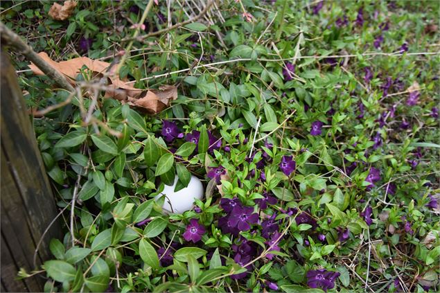 Chasse aux oeufs au Tropiquarium_Servion - Tropiquarium