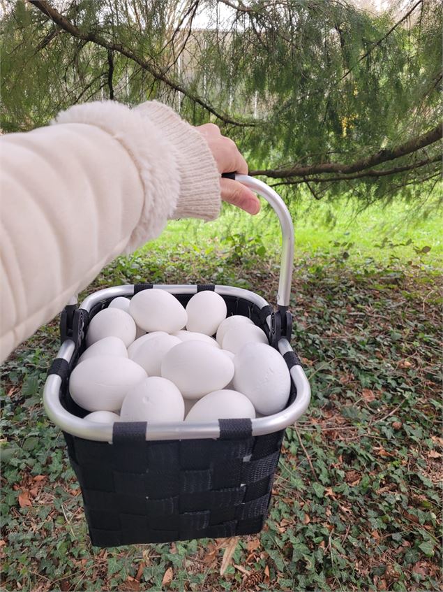 Chasse aux oeufs au Tropiquarium_Servion - Tropiquarium