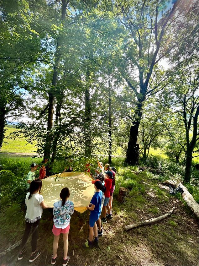 Découverte de la nature avec les sens - Belledonne en marche