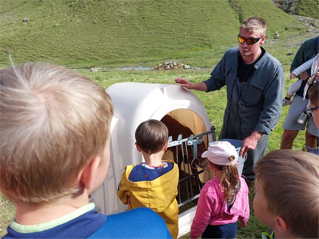 Les tarines font leur cinéma_Arêches-Beaufort - DD - fondation-facim.fr
