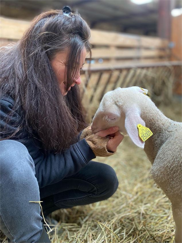 Devenez soigneur le temps d'un matin - TERRE DE REVES