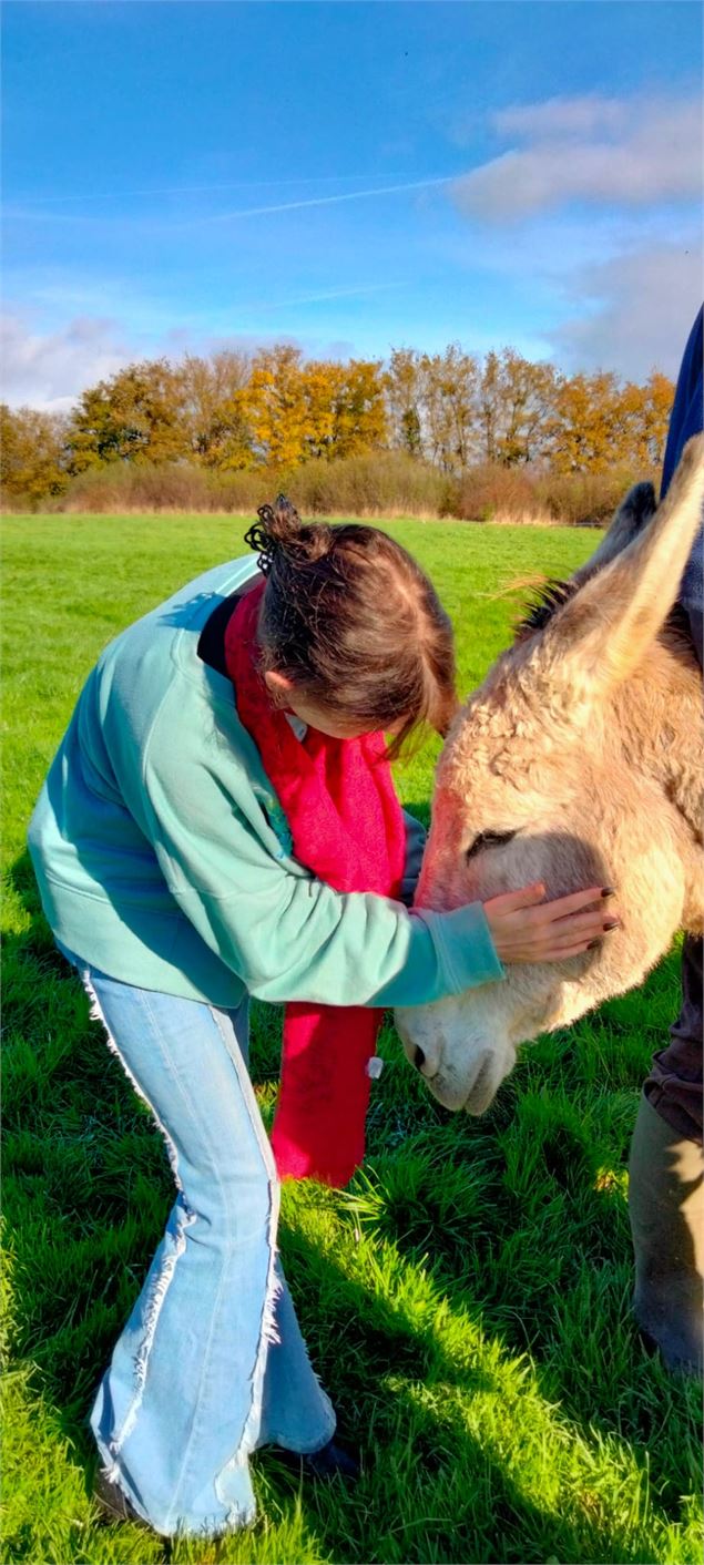 Devenez soigneur le temps d'un matin - TERRE DE REVES