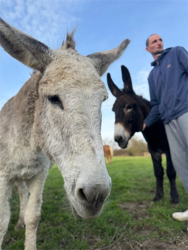 Devenez soigneur le temps d'un matin - TERRE DE REVES