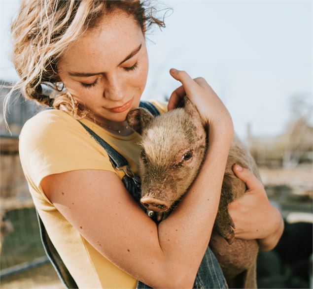 Devenez soigneur le temps d'un matin - TERRE DE REVES