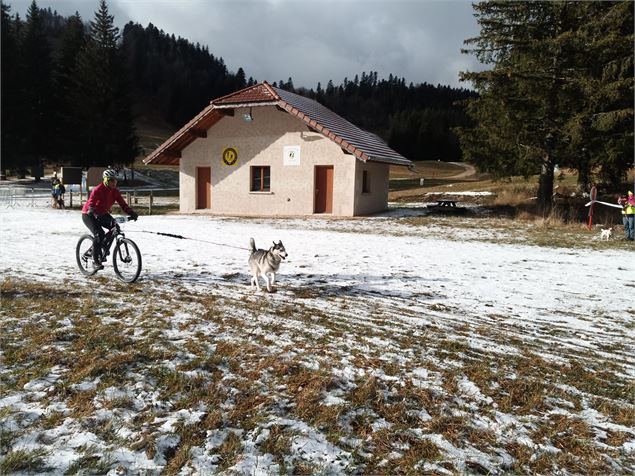 photo - Les Grenouilles sur un Plateau