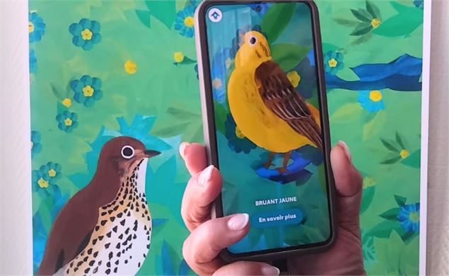 Expo - Ecoute les oiseaux_Valserhône