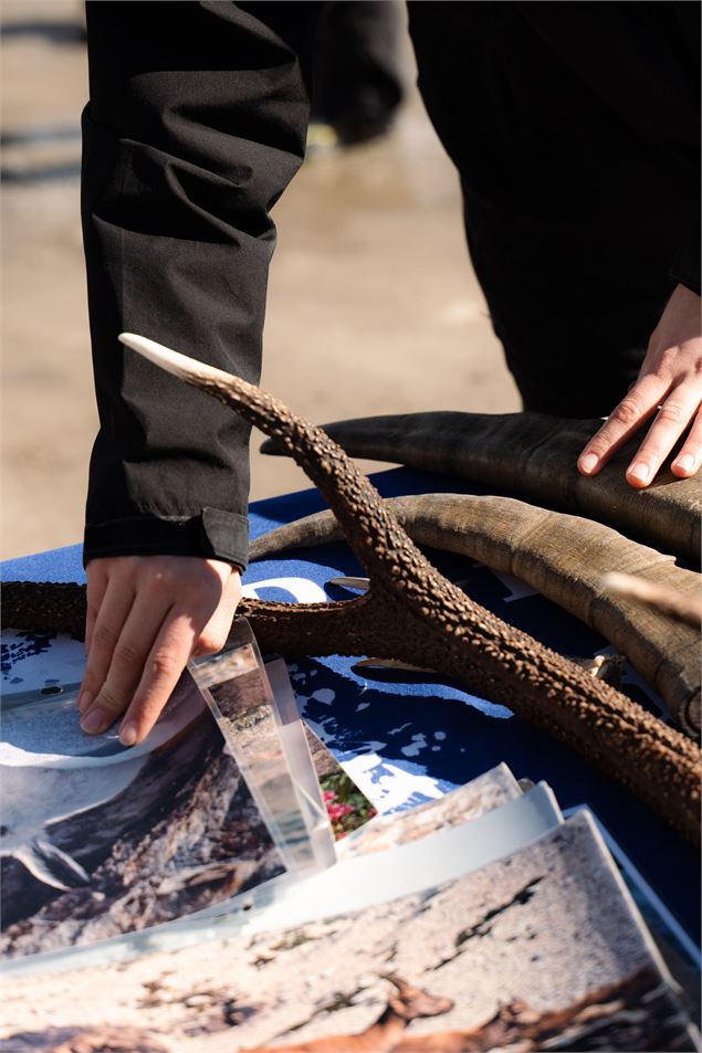 Découverte de la faune de nos montagnes avec les agents du Parc National de la Vanoise - Val d'Isère
