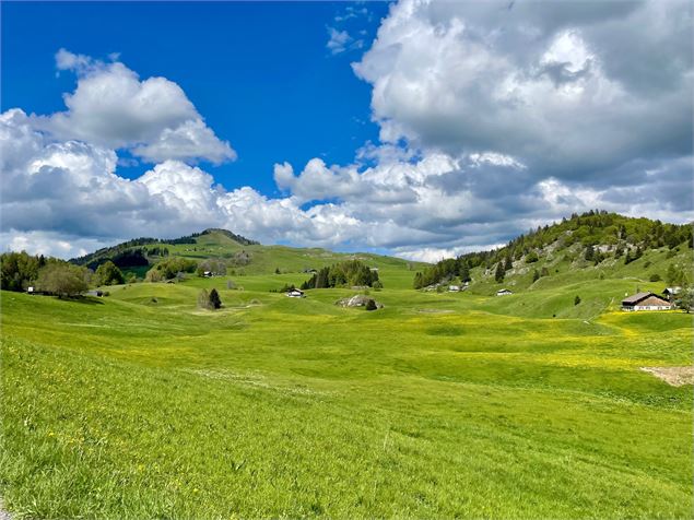 Visite de la maison de la réserve : Passy Plaine-Joux_Passy