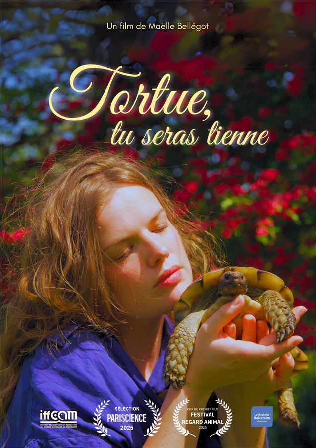Affiche du film Tortue tu seras tienne - Kevin Moisseron