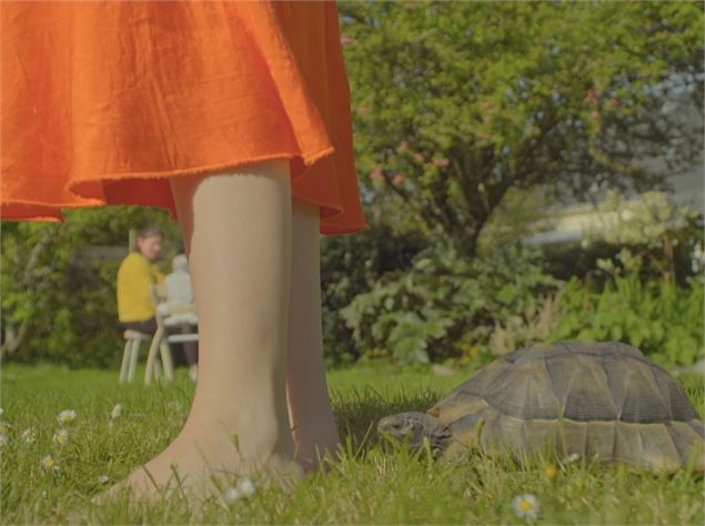 Extrait du film Tortue tu seras tienne - Kevin Moisseron