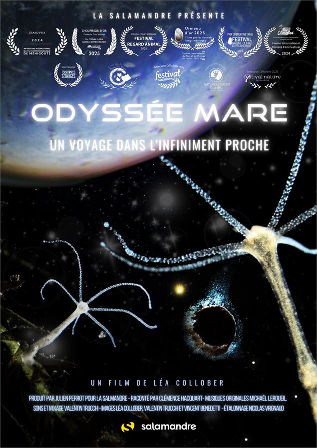 Affiche du film Odyssée mare - Kévin Moisseron