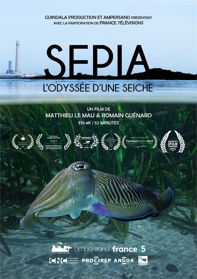 Affiche du film Sépia, l'odyssée d'une seiche - Kévin Moisseron