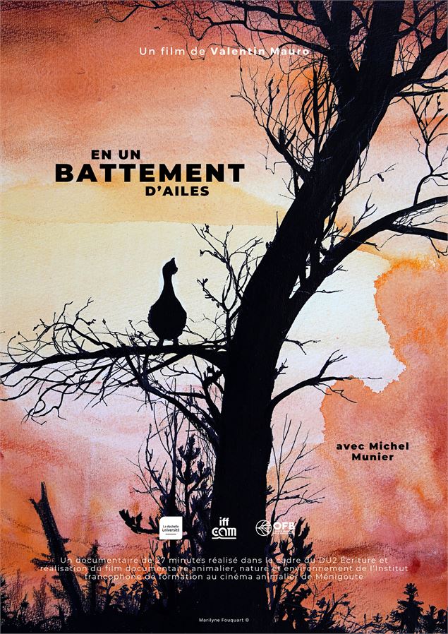 Affiche du film En un battement d'ailes - Kevin Moisseron